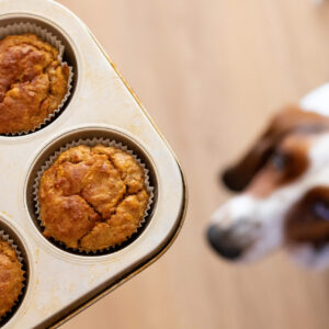 Recept om vegan pupcakes te maken, cupcakes als traktatie voor je hond